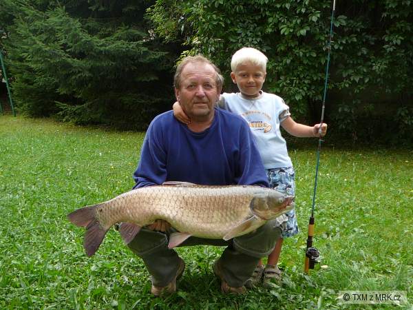 Amur B�l� 85 cm, 7.50kg