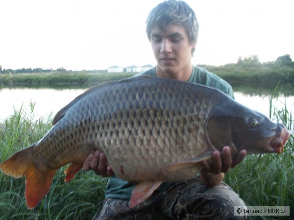 Kapr 88cm-14kg
