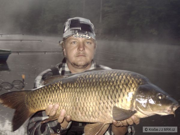 kapr 78 cm 8 kg