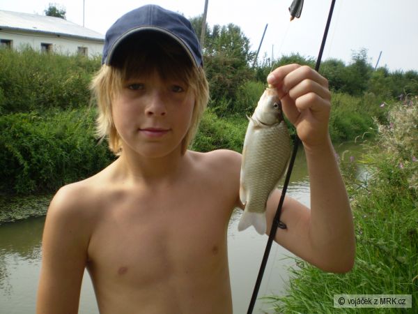 kar�sek