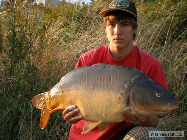 Kapr 79cm-10.2kg