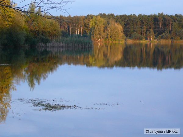 balz�m na du�i