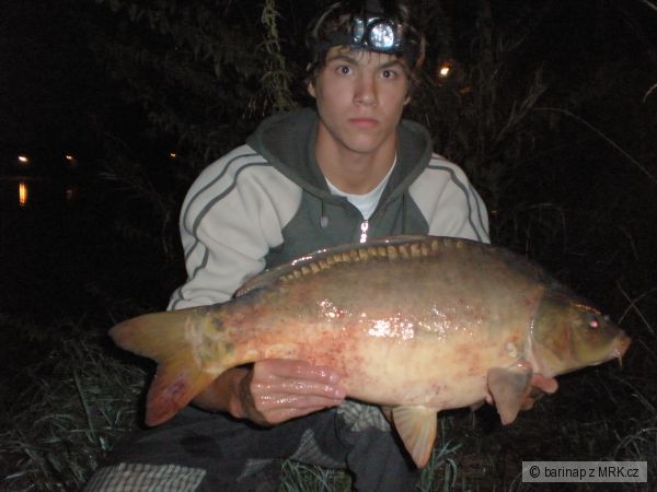 Kapr 67cm nev�en