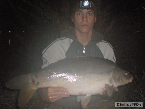 kapr �pigl 71cm