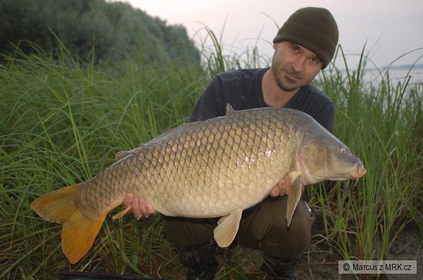 ��rava 11,8kg 85cm