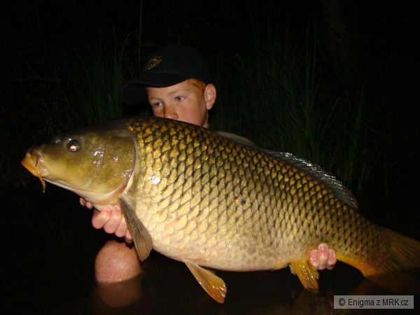 T�den� v�prava na p�skovnu