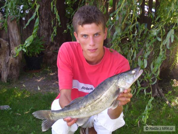 cand�t