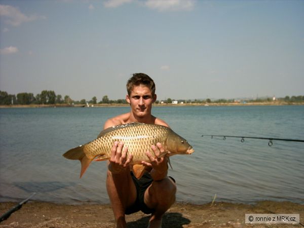 �t�rk��