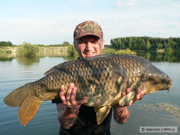 zat�m nej 2008