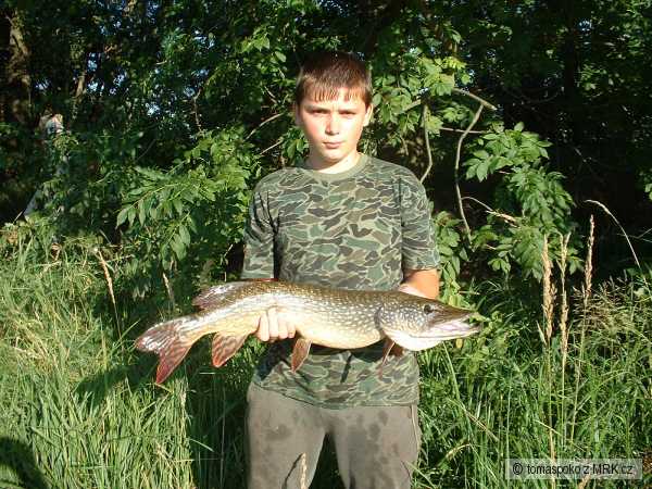 dal�� 80tka