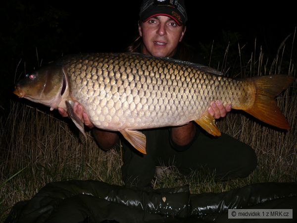 D5-kapr 82cm a 10.5kg