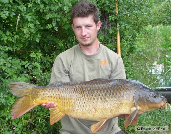 Kapr 86cm 11,2kg