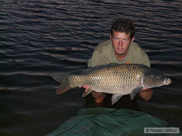 Kapr 79cm 7,5kg