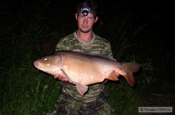 Kapr 72cm 7,5kg