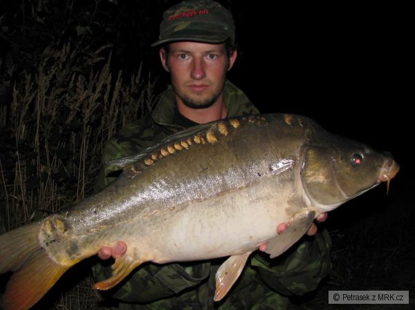 70cm 6kg