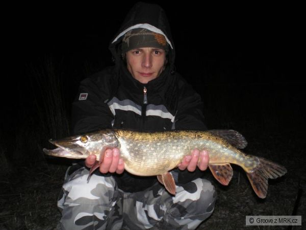 Zimn� �tika