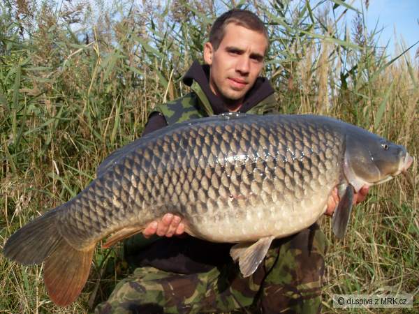 Osob��ek 87cm,15 kg