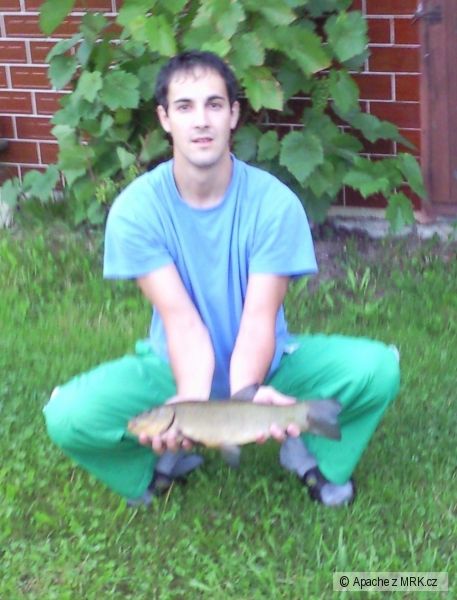 lin 45cm/1kg