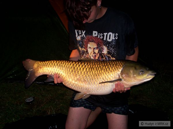 amur 96cm, 12kg