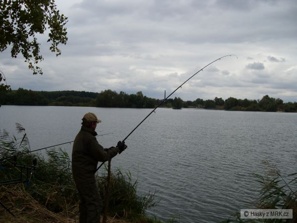 Labe 21.9.2008 v 12:35