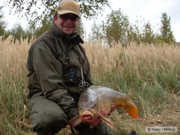 Labe 21.9.2008 v 12:35