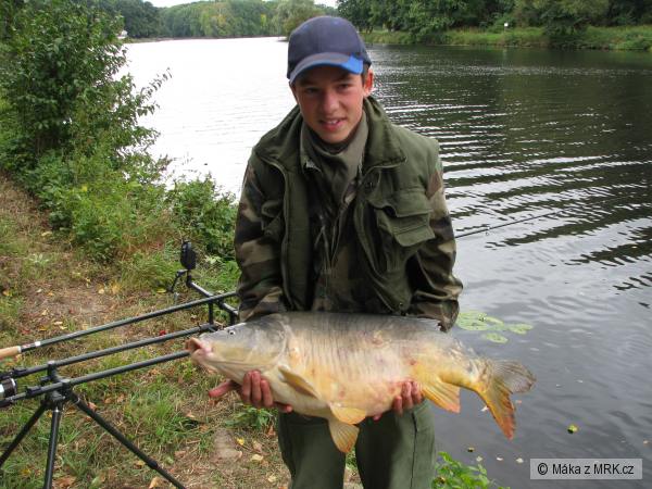 kapr 82cm z Labe