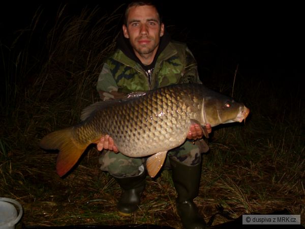 kapr 80cm 9kg