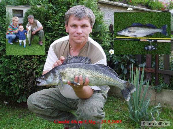 Zub�� 68cm