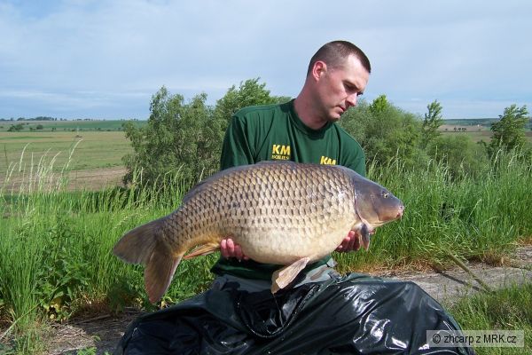 16.40 kg