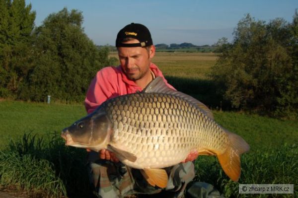 14.20 kg - 81 cm