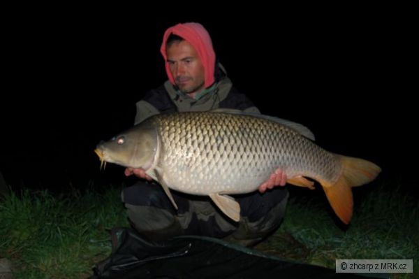 14.80 kg - 95 cm