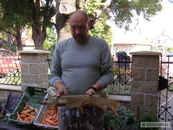 �ti�ka 66cm