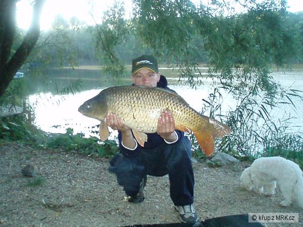 Kapr