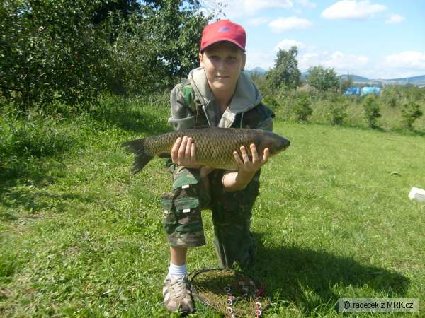 amur 52cm 2,22kg