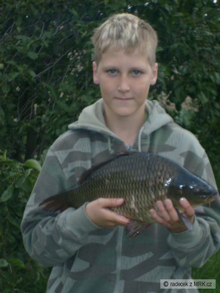kapr 51cm 2,42kg