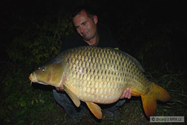 15.20 kg - 84 cm