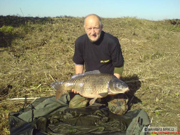 Labe - 82cm, 13,5kg
