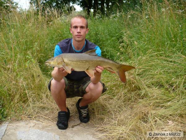 70cm