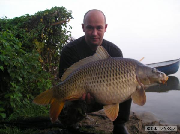 75 cm, 9,5 kg