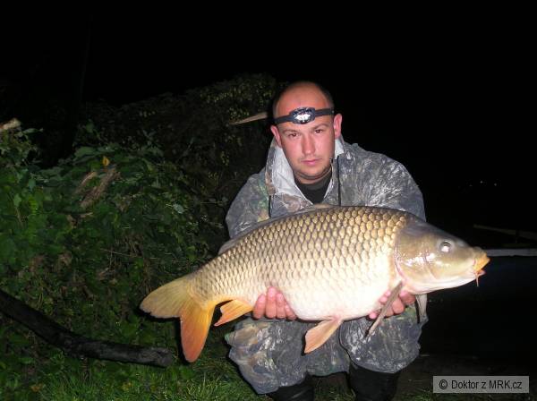 75 cm, 8,5 kg