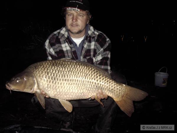 kapr  85 cm 10.5 kg