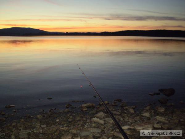 LIPNO