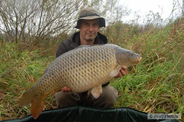 11.40 kg