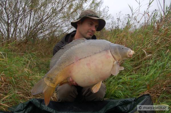 11.20 kg - 68 cm 