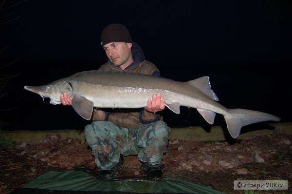 122 cm - 11 kg