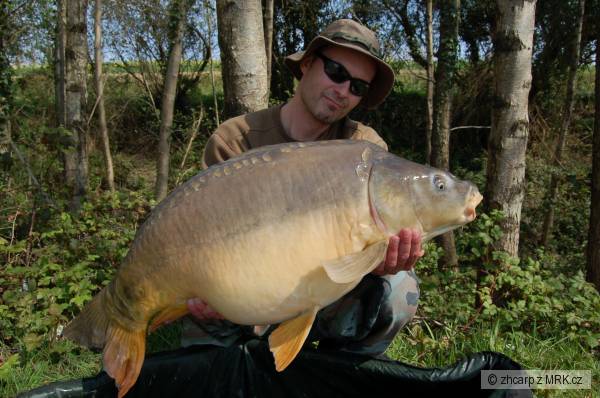 16.80 kg