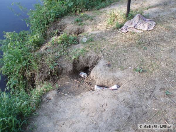 Douf�m,�e je aspo� r�no bolela hlava.