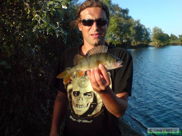 Okoun 35cm