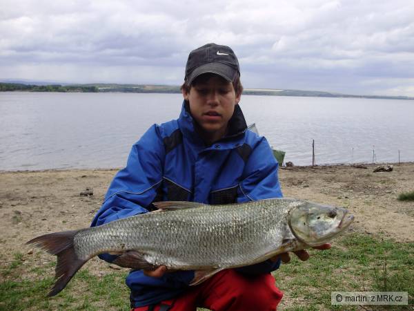 Bolen uloven na UN nechranice