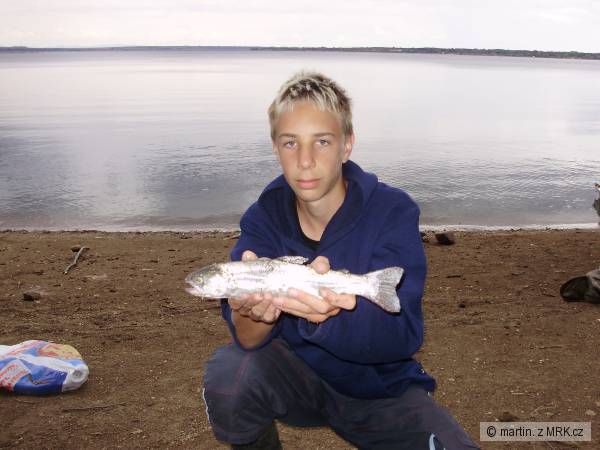 Pstrouzek duhovy a Venca